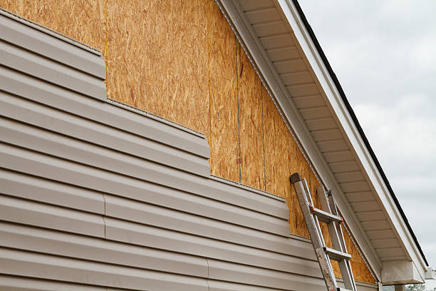 Professional Siding Repair technician working in Glencoe, MN